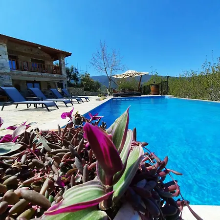 Villa Iksir *