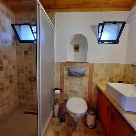 Iksir Vilă