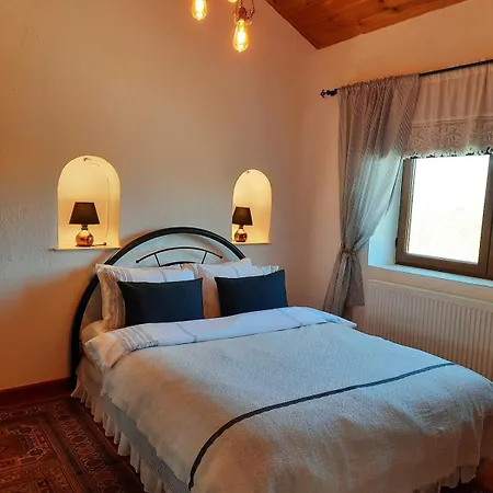 Iksir Vilă Selçuk